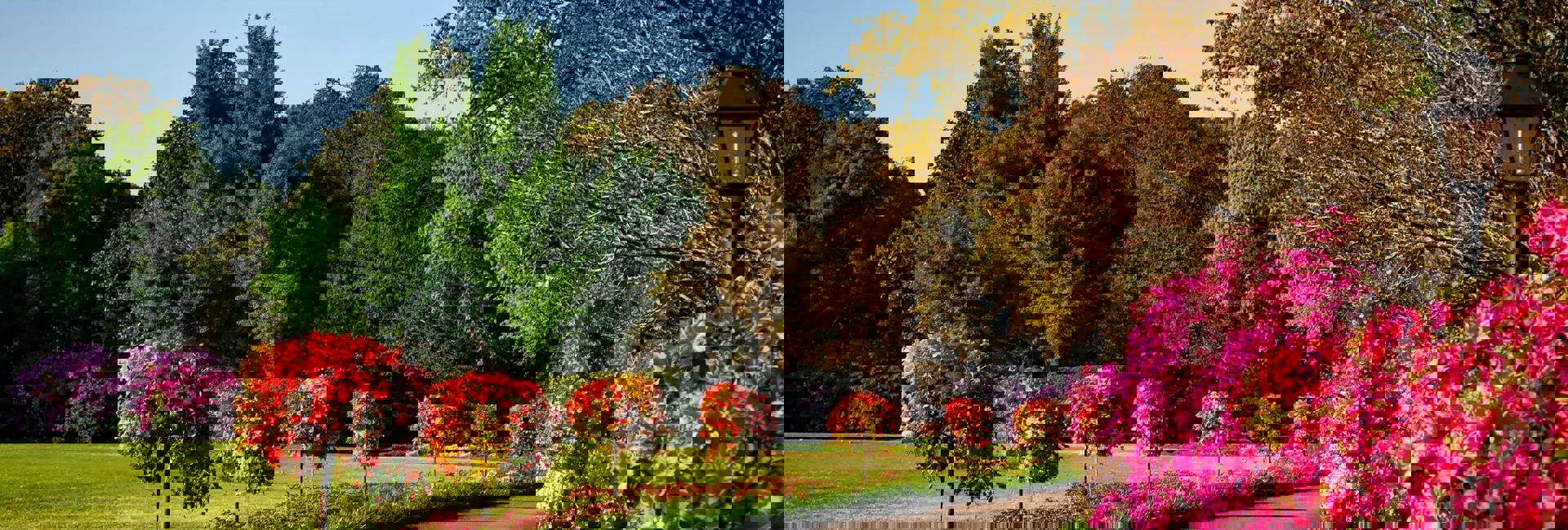 Franklinpark